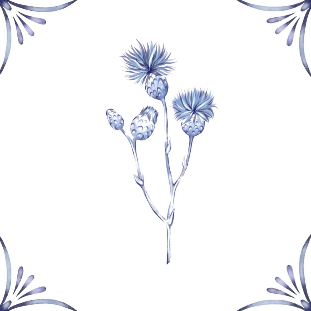 Delft Blue Ceramic Tile- Thistle︱Bathroom Tile, Splashback, Kitchen Tiles, Modern Dutch Style