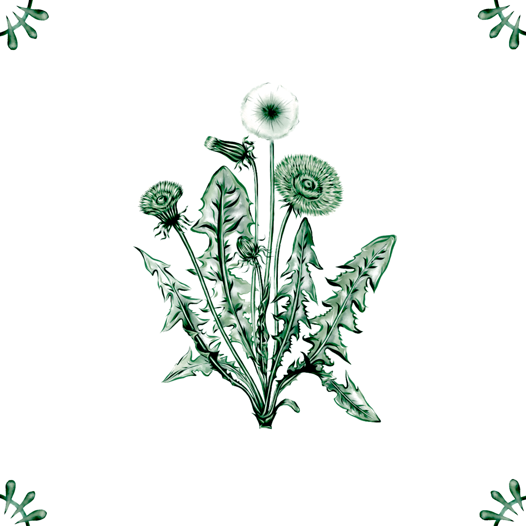 Delft Blue Ceramic Tile- Dandelion︱Bathroom Tile, Splashback, Kitchen Tiles, Modern Dutch Style