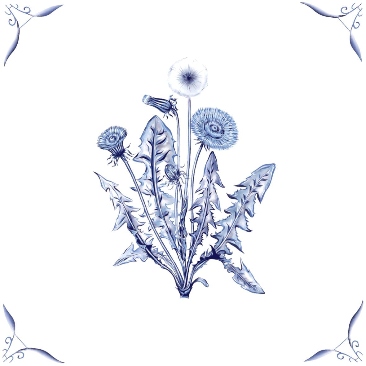 Delft Blue Ceramic Tile- Dandelion︱Bathroom Tile, Splashback, Kitchen Tiles, Modern Dutch Style