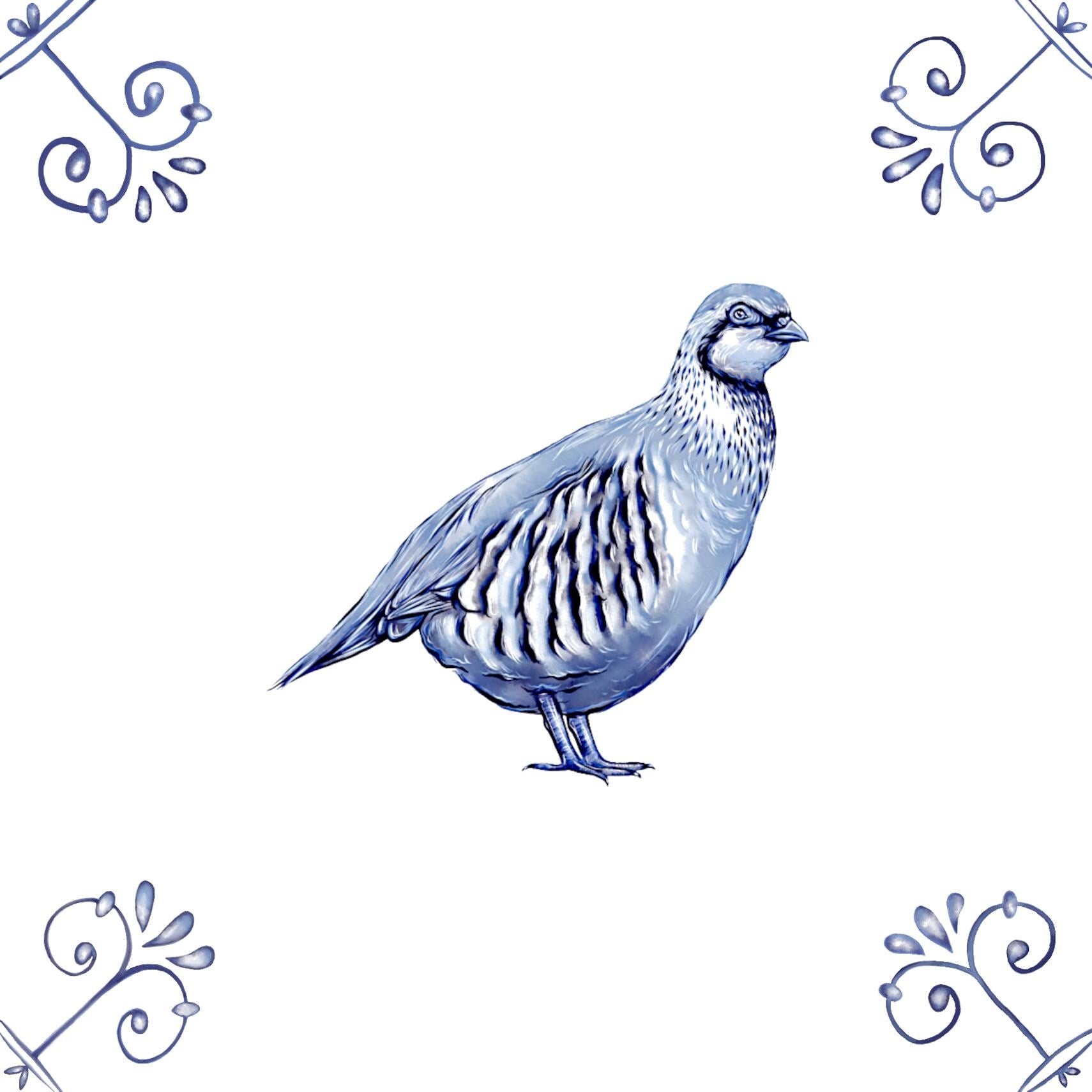 Delft Blue Ceramic Tile- Detailed Partridge︱Bathroom Tile, Splashback, Kitchen Tiles, Modern Dutch Style