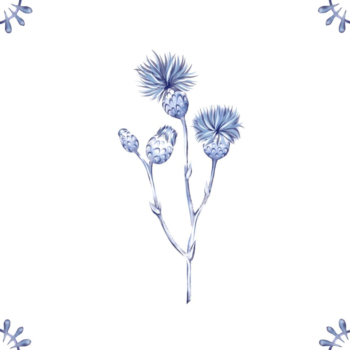 Delft Blue Ceramic Tile- Thistle︱Bathroom Tile, Splashback, Kitchen Tiles, Modern Dutch Style