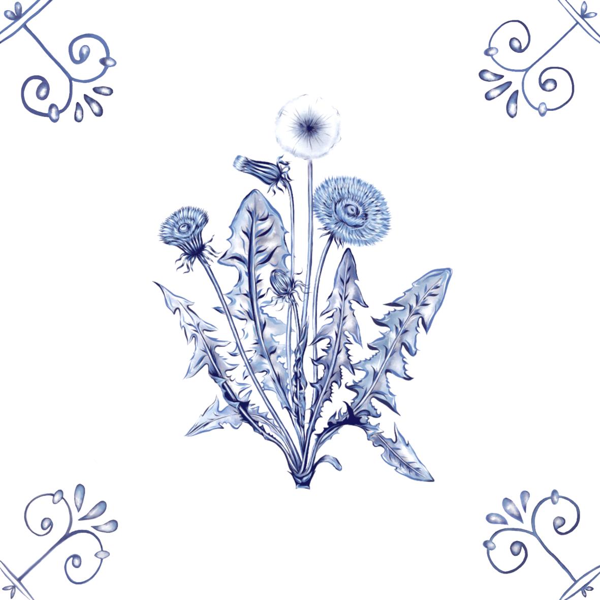 Delft Blue Ceramic Tile- Dandelion︱Bathroom Tile, Splashback, Kitchen Tiles, Modern Dutch Style