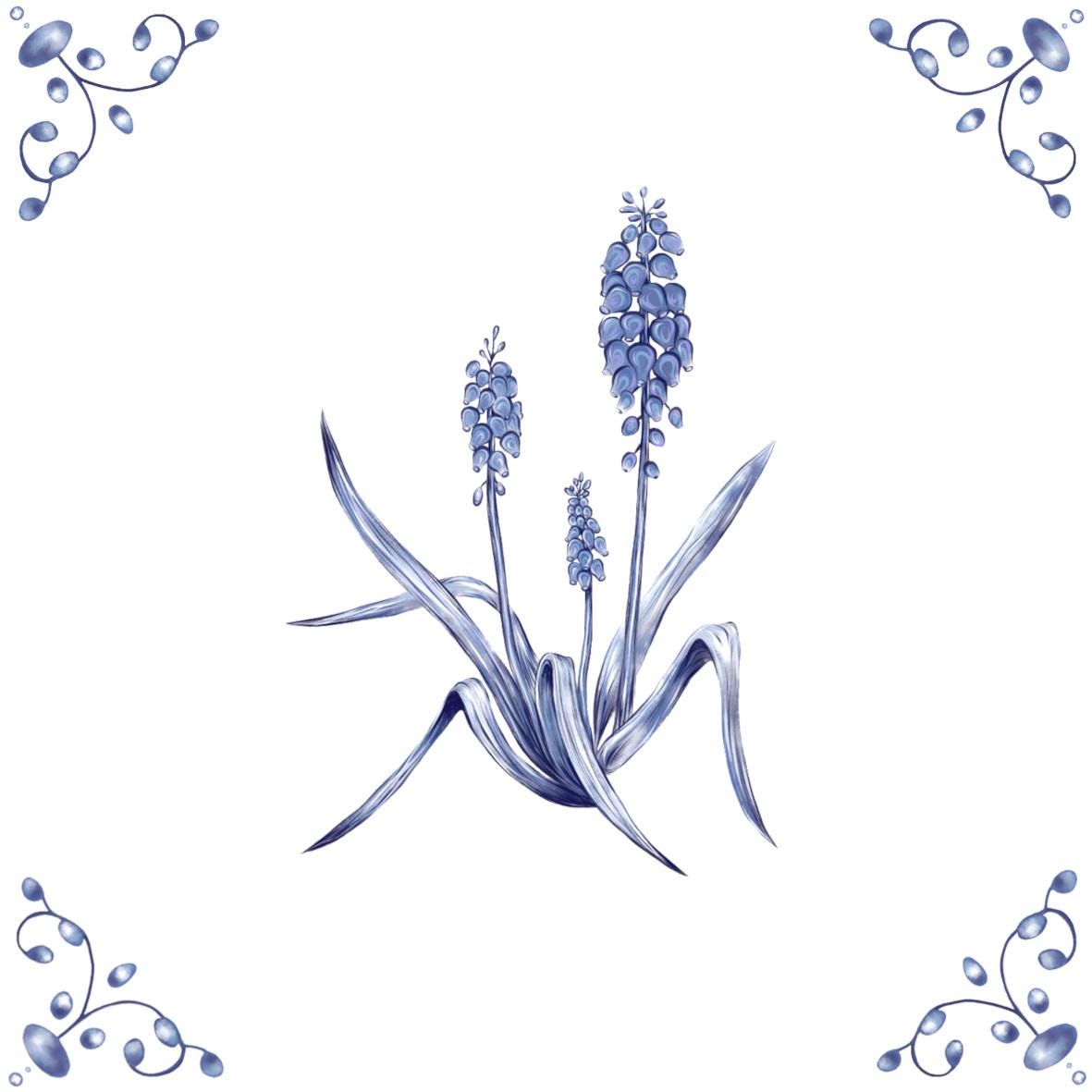 Delft Blue Ceramic Tile- Muscari︱Bathroom Tile, Splashback, Kitchen Tiles, Modern Dutch Style