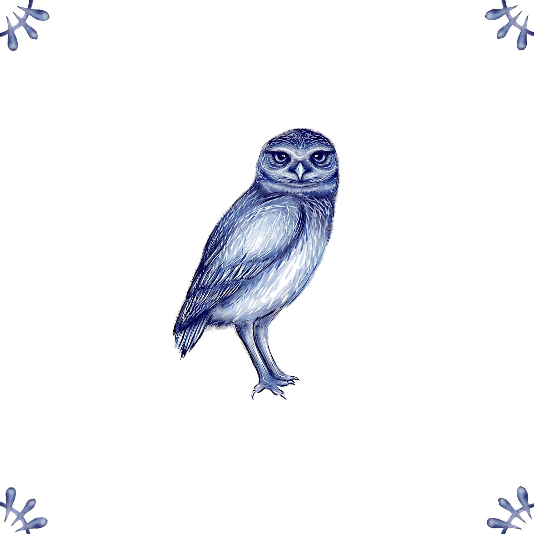 Delft Blue Ceramic Tile- Burrowing Owl︱Bathroom Tile, Splashback, Kitchen Tiles, Modern Dutch Style