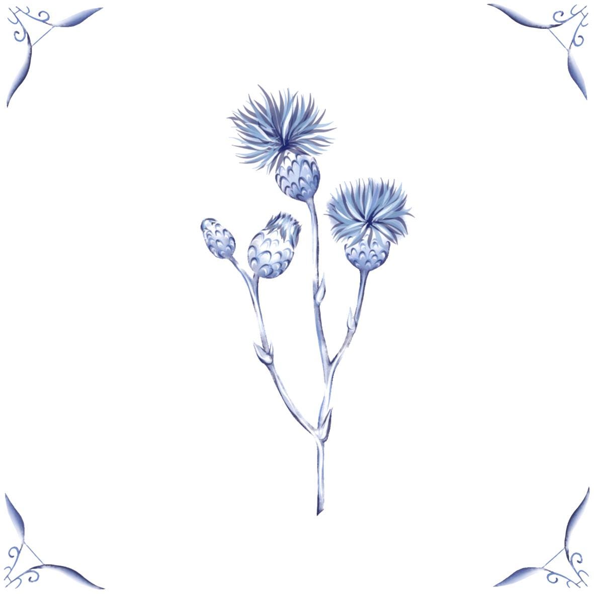 Delft Blue Ceramic Tile- Thistle︱Bathroom Tile, Splashback, Kitchen Tiles, Modern Dutch Style
