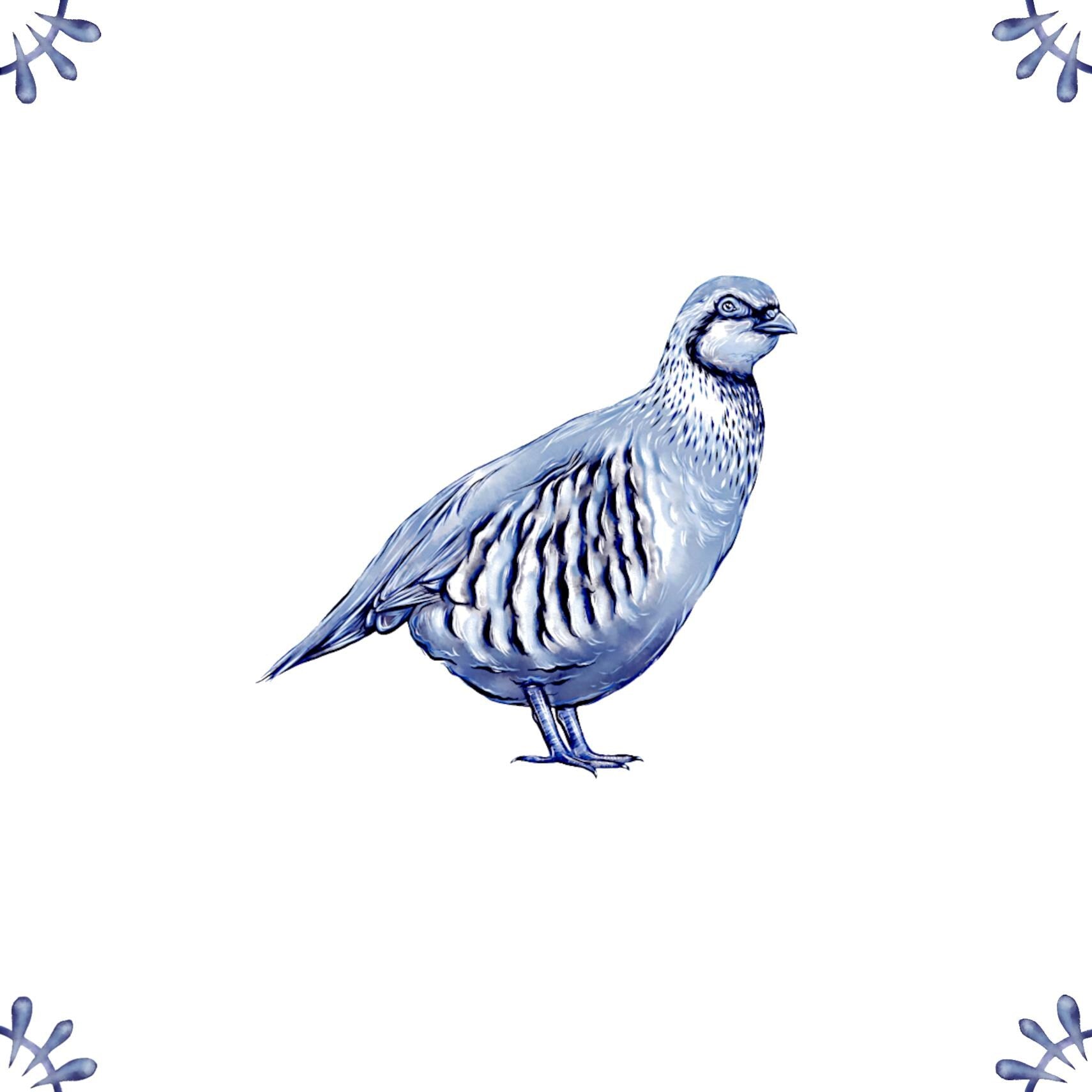 Delft Blue Ceramic Tile- Detailed Partridge︱Bathroom Tile, Splashback, Kitchen Tiles, Modern Dutch Style