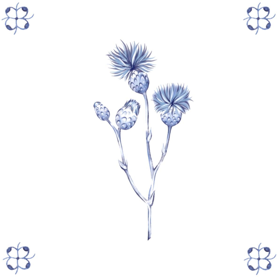 Delft Blue Ceramic Tile- Thistle︱Bathroom Tile, Splashback, Kitchen Tiles, Modern Dutch Style