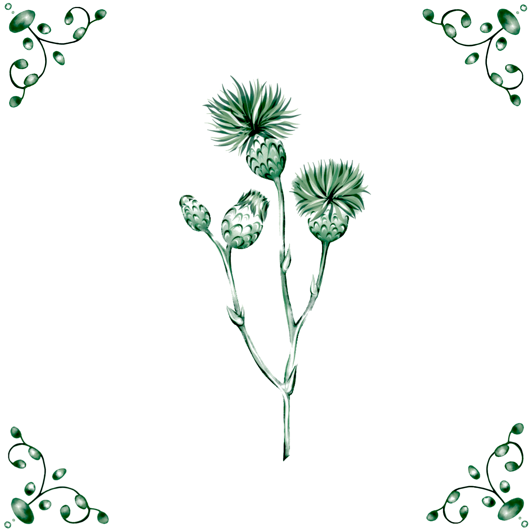 Delft Blue Ceramic Tile- Thistle︱Bathroom Tile, Splashback, Kitchen Tiles, Modern Dutch Style