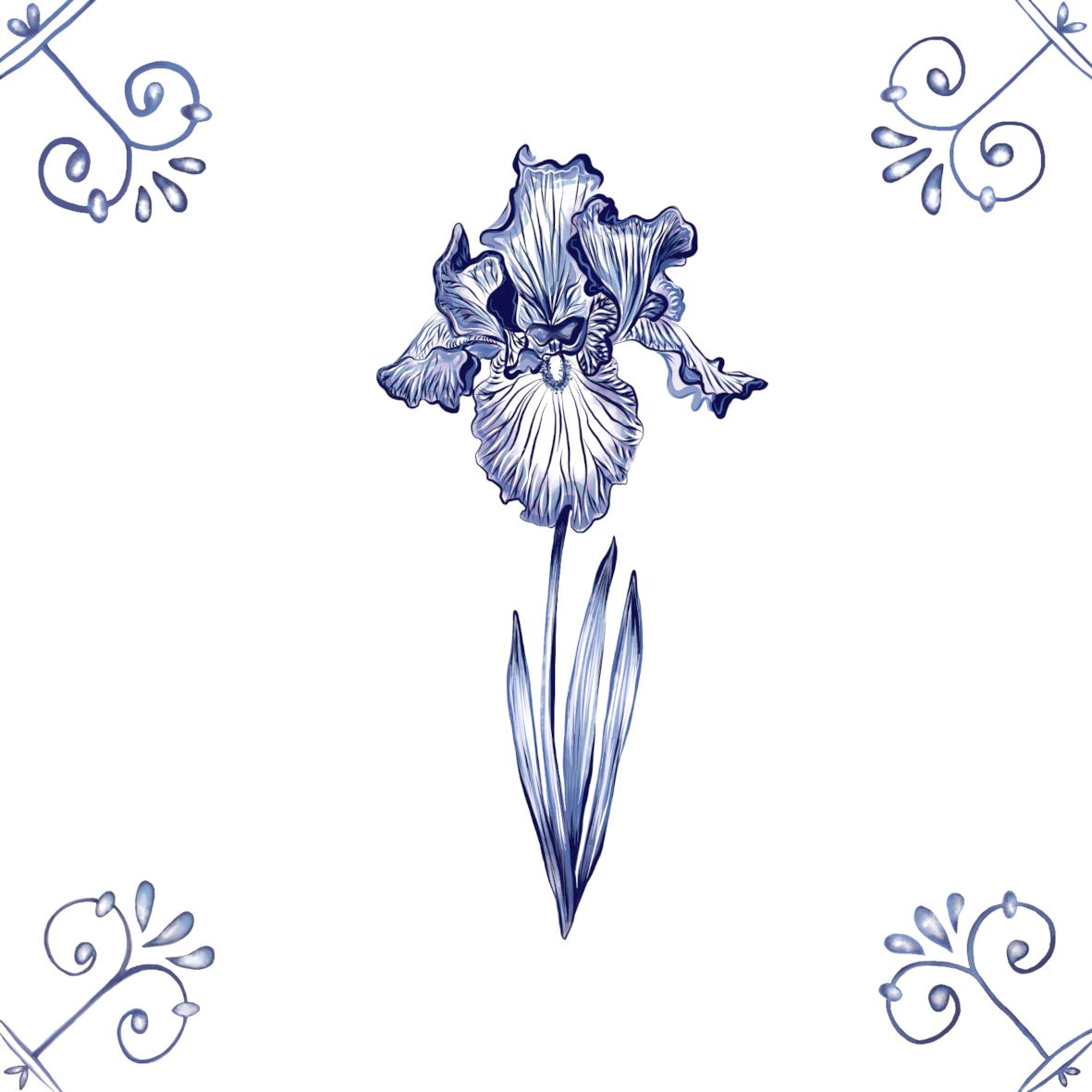 Delft Blue Ceramic Tile- Iris︱Bathroom Tile, Splashback, Kitchen Tiles, Modern Dutch Style