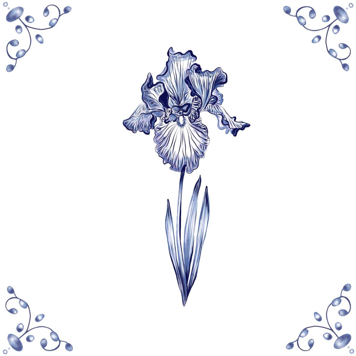 Delft Blue Ceramic Tile- Iris︱Bathroom Tile, Splashback, Kitchen Tiles, Modern Dutch Style
