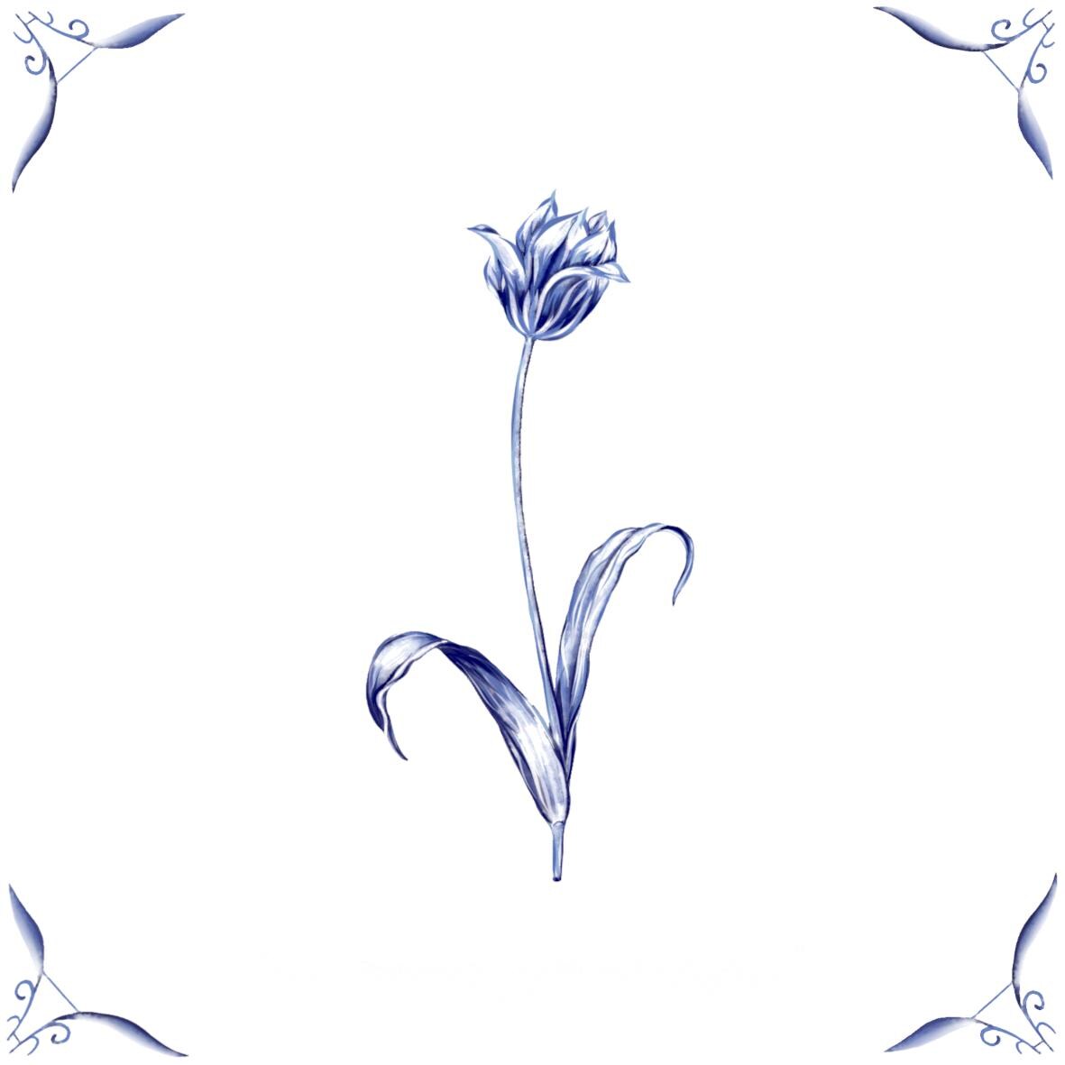 Delft Blue Ceramic Tile- Tulip︱Bathroom Tile, Splashback, Kitchen Tiles, Modern Dutch Style