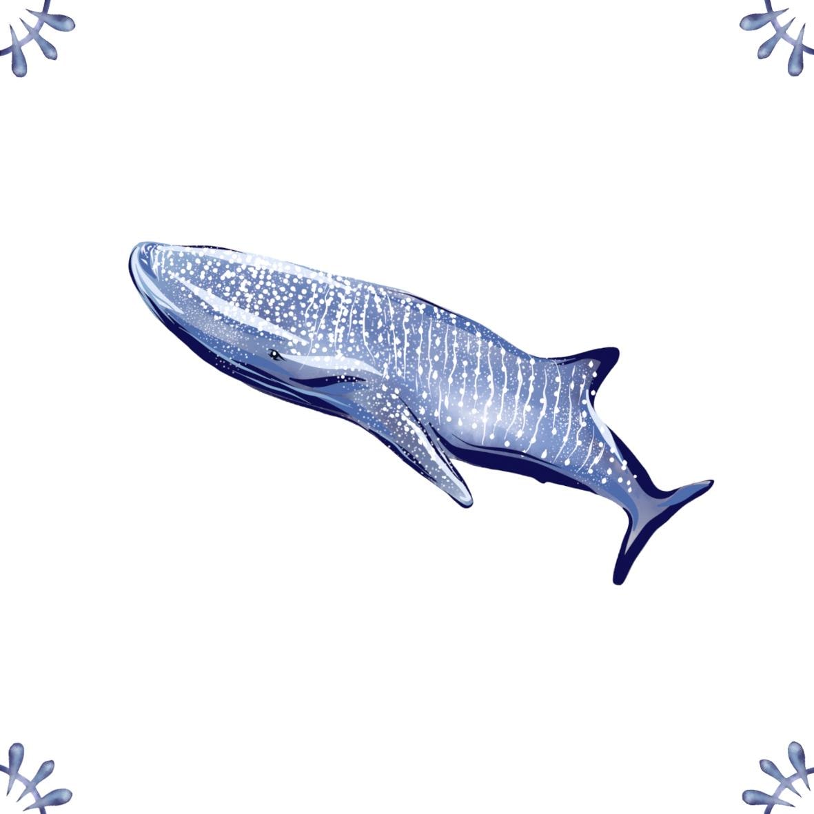 Delft Blue Ceramic Tile- Whale Shark︱Bathroom Tile, Splashback, Kitchen Tiles, Modern Dutch Style