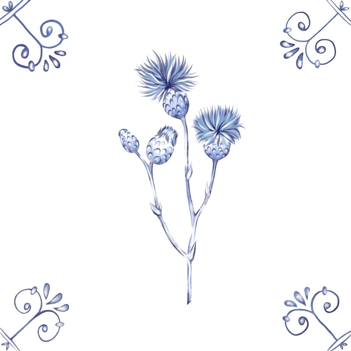 Delft Blue Ceramic Tile- Thistle︱Bathroom Tile, Splashback, Kitchen Tiles, Modern Dutch Style