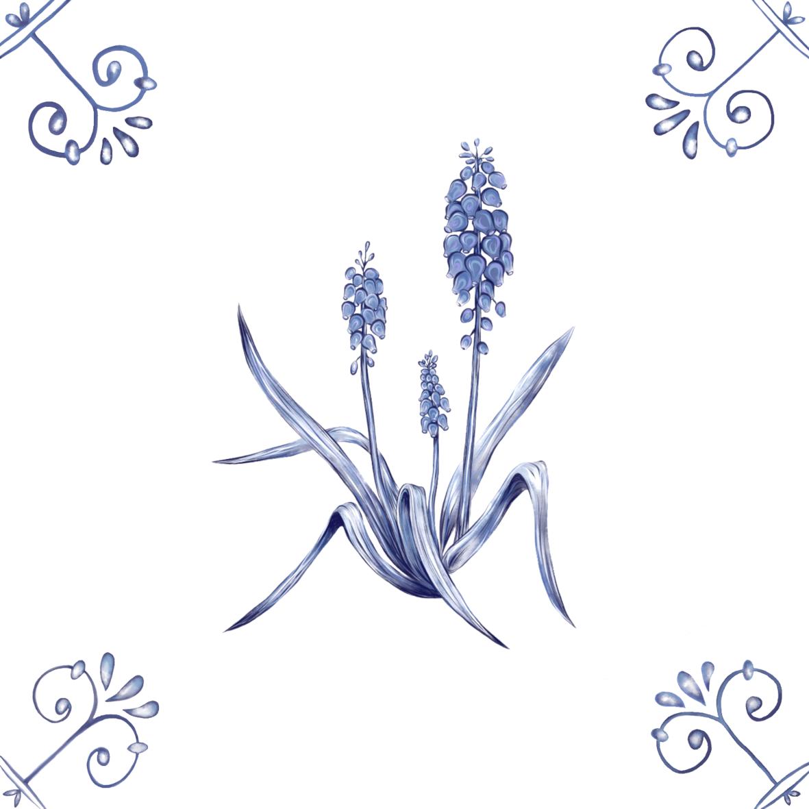 Delft Blue Ceramic Tile- Muscari︱Bathroom Tile, Splashback, Kitchen Tiles, Modern Dutch Style