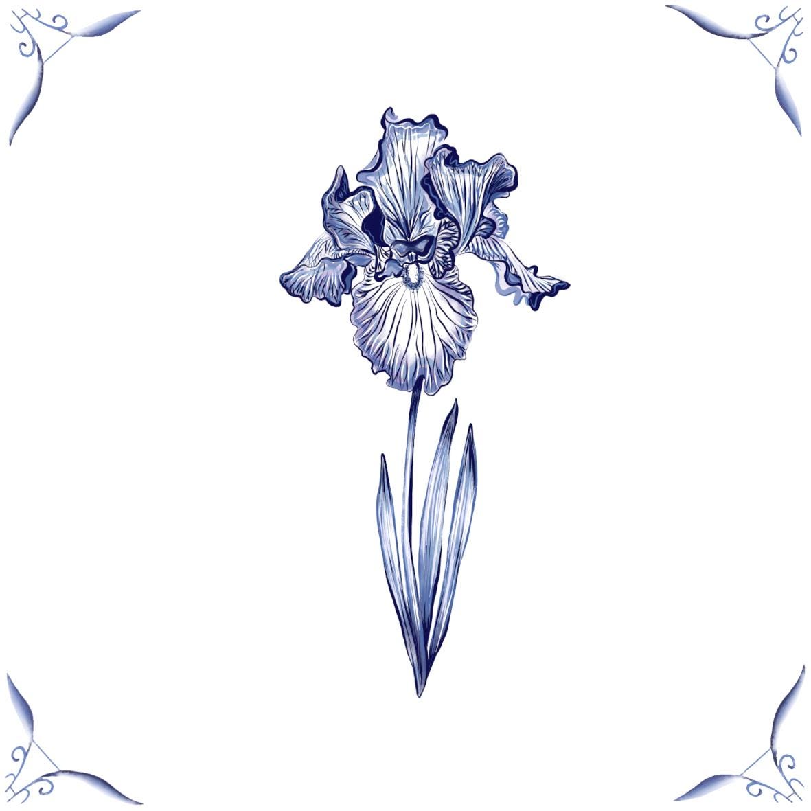 Delft Blue Ceramic Tile- Iris︱Bathroom Tile, Splashback, Kitchen Tiles, Modern Dutch Style