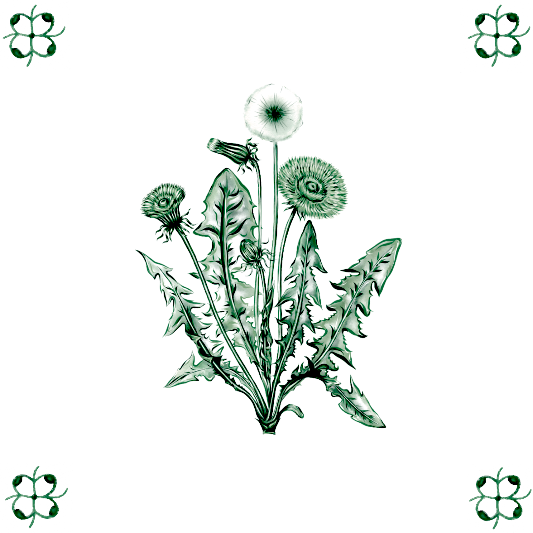 Delft Blue Ceramic Tile- Dandelion︱Bathroom Tile, Splashback, Kitchen Tiles, Modern Dutch Style