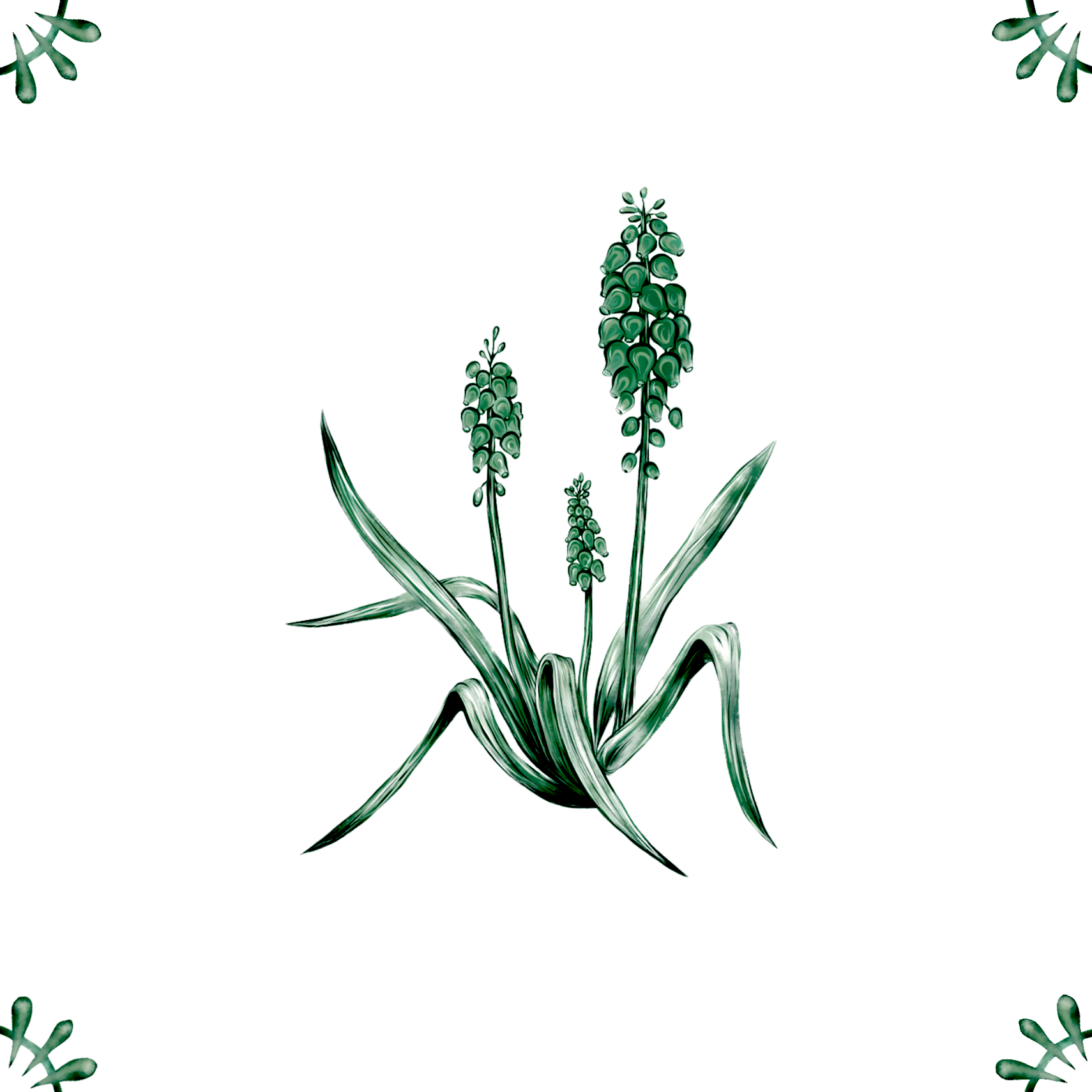Delft Blue Ceramic Tile- Muscari︱Bathroom Tile, Splashback, Kitchen Tiles, Modern Dutch Style