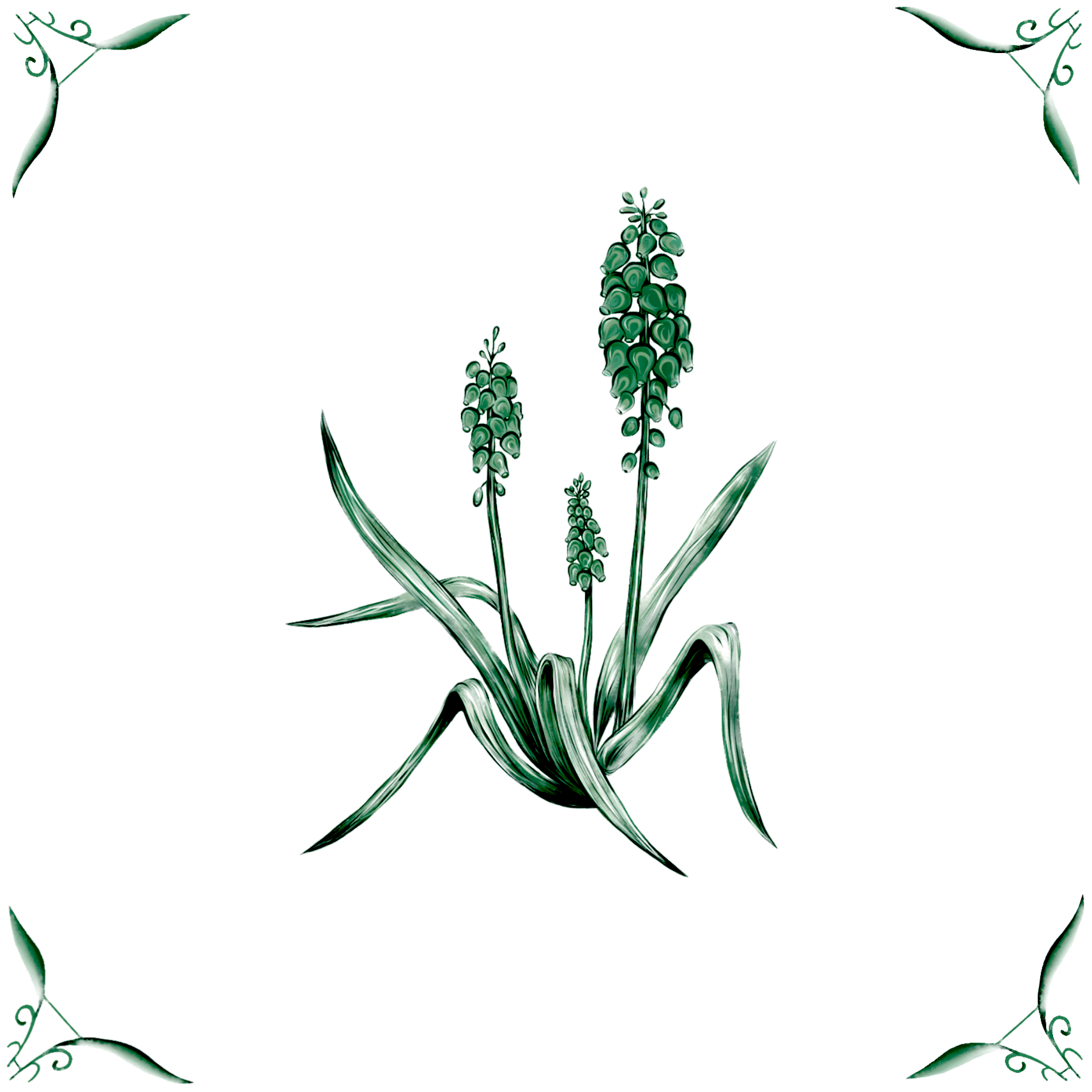 Delft Blue Ceramic Tile- Muscari︱Bathroom Tile, Splashback, Kitchen Tiles, Modern Dutch Style