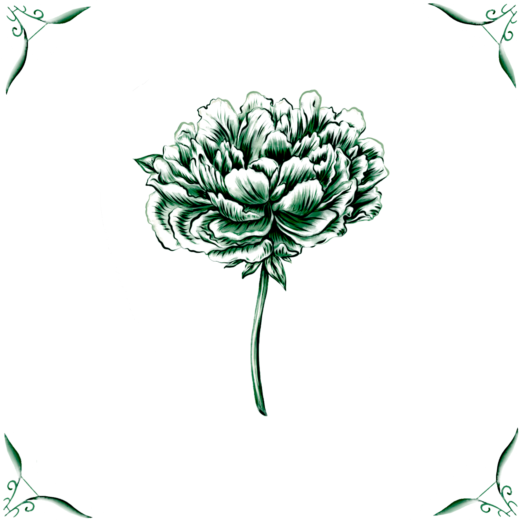 Delft Blue Ceramic Tile- Peony︱Bathroom Tile, Splashback, Kitchen Tiles, Modern Dutch Style