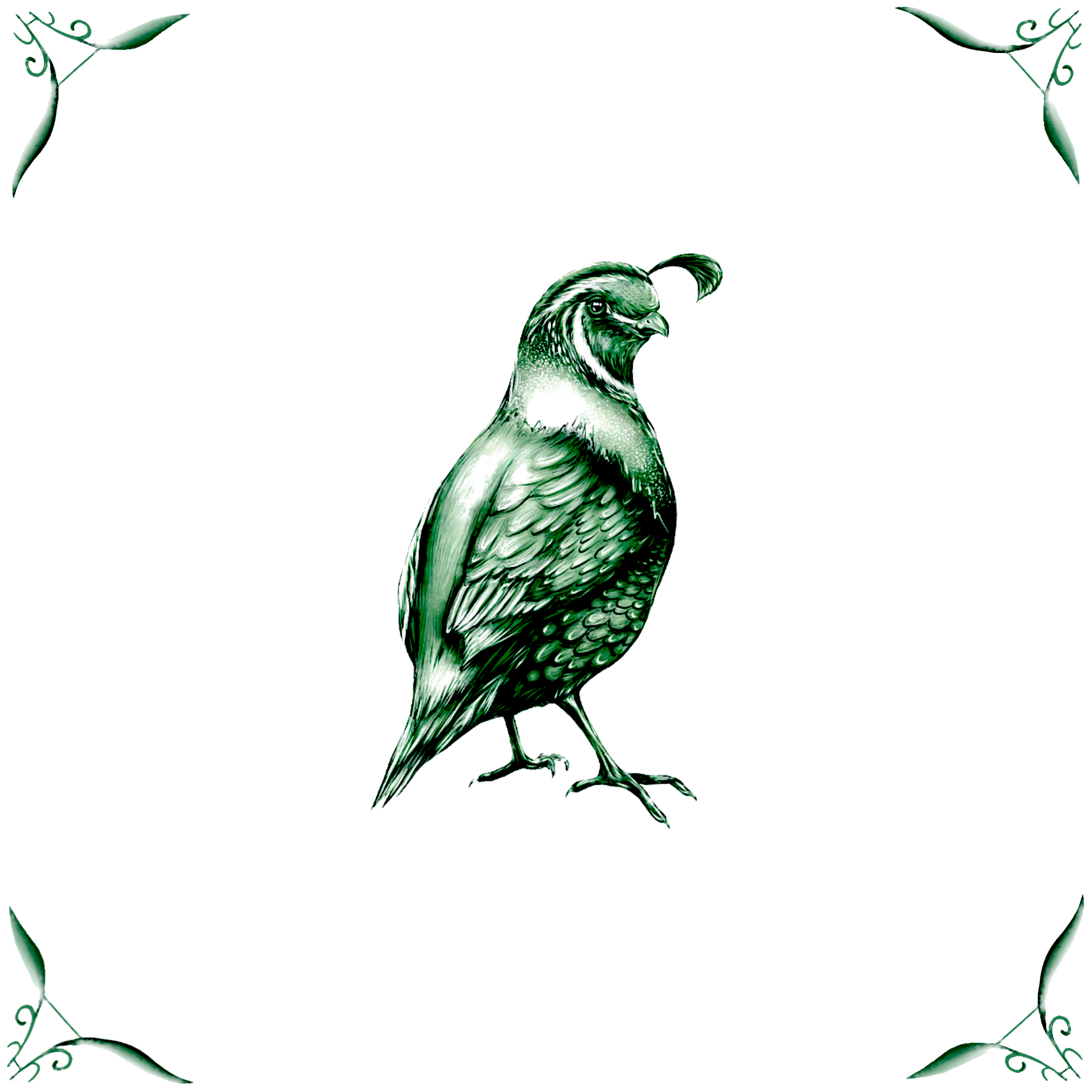 Delft Blue Ceramic Tile- Quail︱Bathroom Tile, Splashback, Kitchen Tiles, Modern Dutch Style