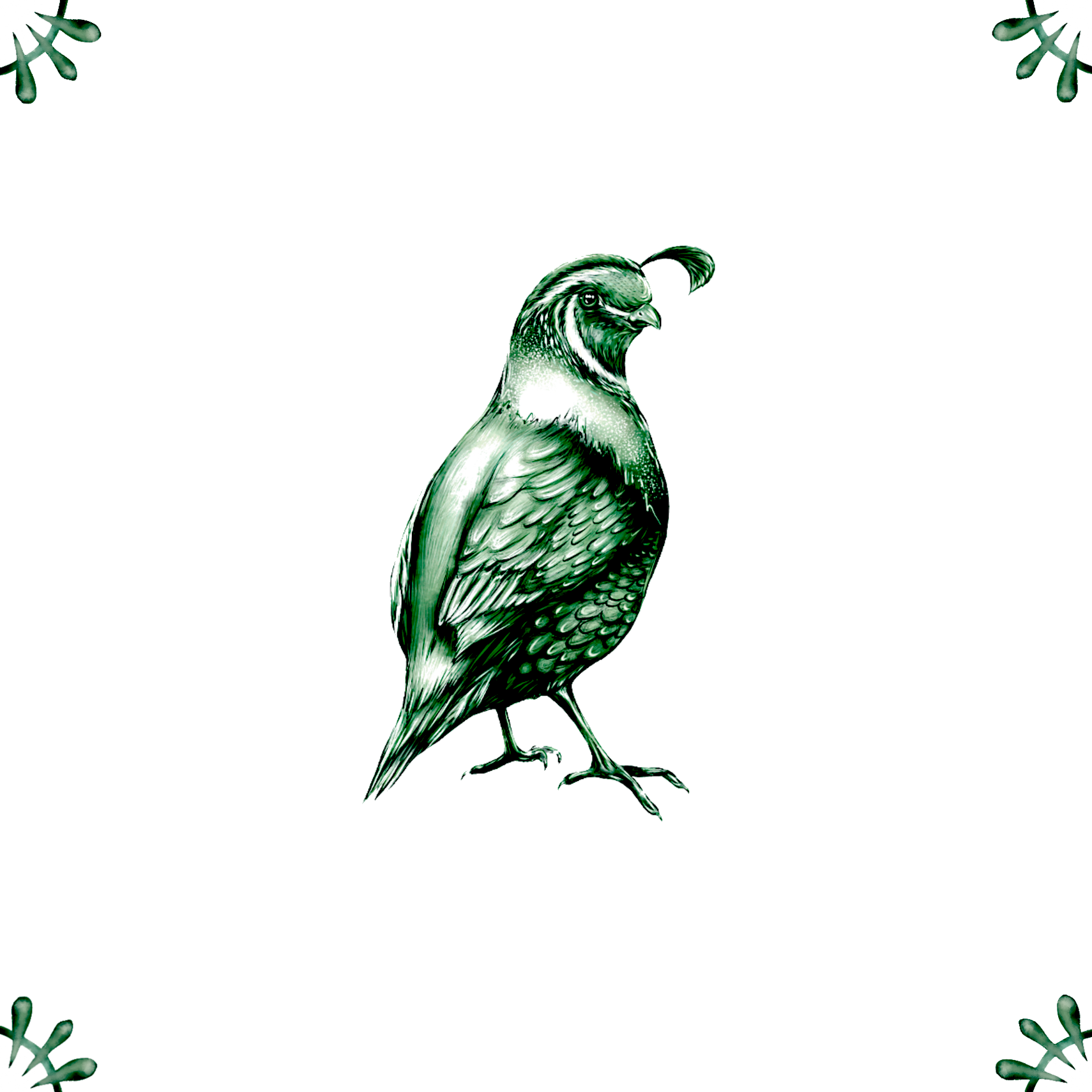 Delft Blue Ceramic Tile- Quail︱Bathroom Tile, Splashback, Kitchen Tiles, Modern Dutch Style