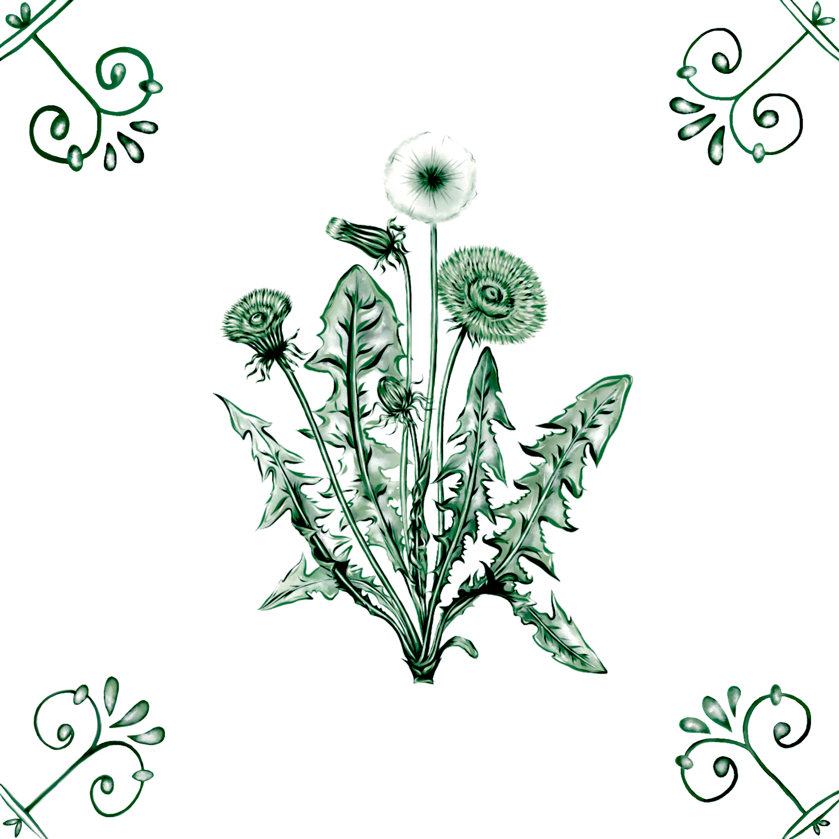 Delft Blue Ceramic Tile- Dandelion︱Bathroom Tile, Splashback, Kitchen Tiles, Modern Dutch Style