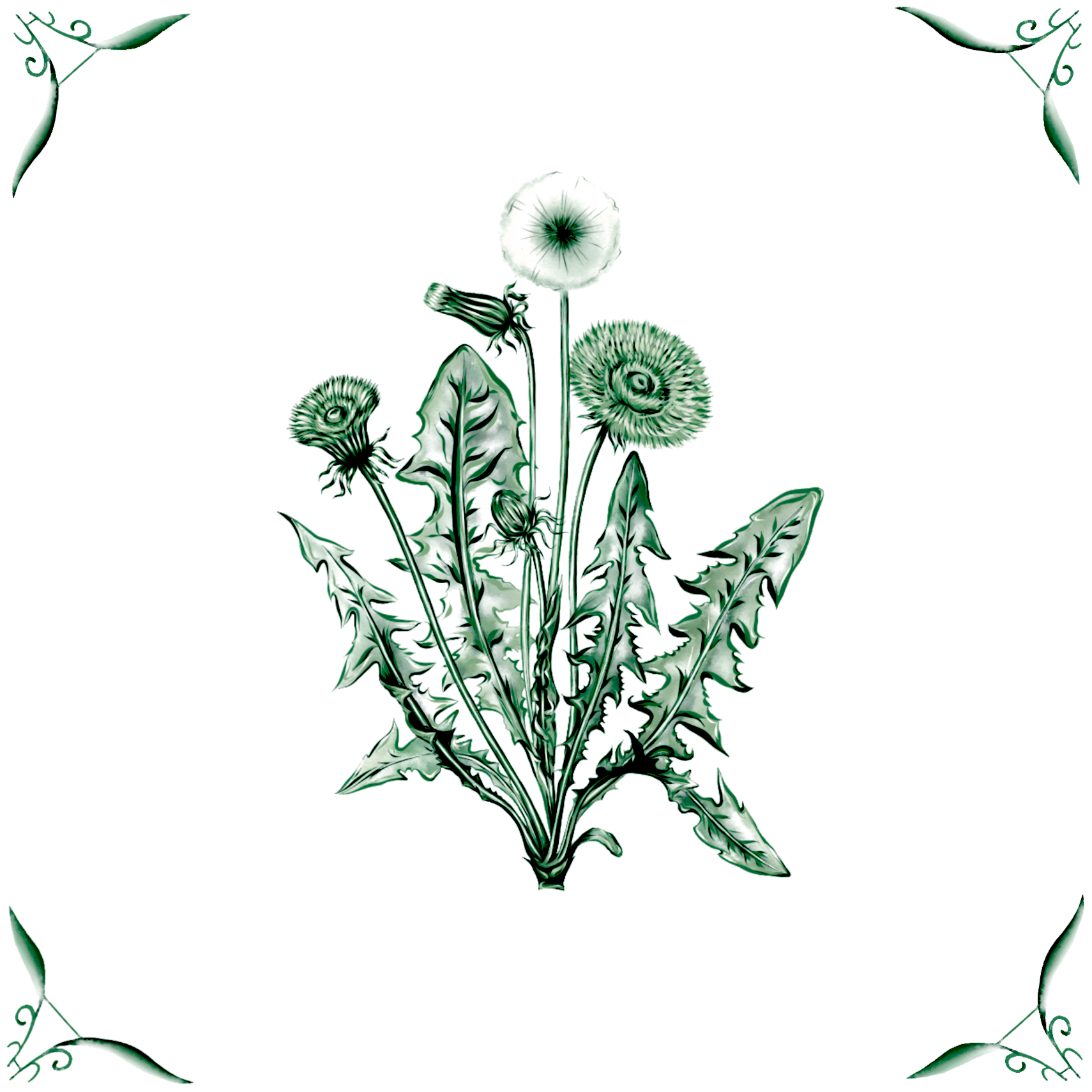 Delft Blue Ceramic Tile- Dandelion︱Bathroom Tile, Splashback, Kitchen Tiles, Modern Dutch Style