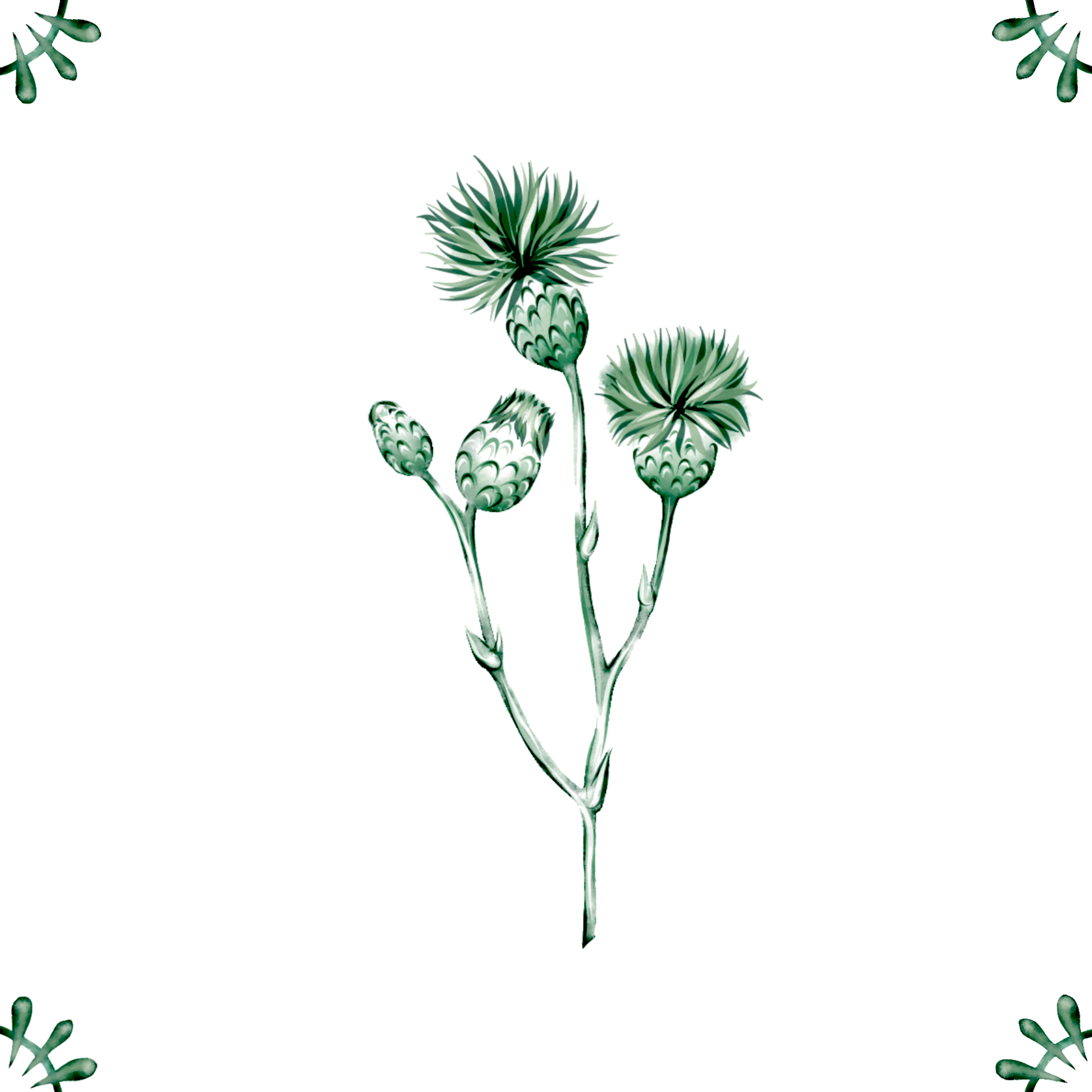 Delft Blue Ceramic Tile- Thistle︱Bathroom Tile, Splashback, Kitchen Tiles, Modern Dutch Style