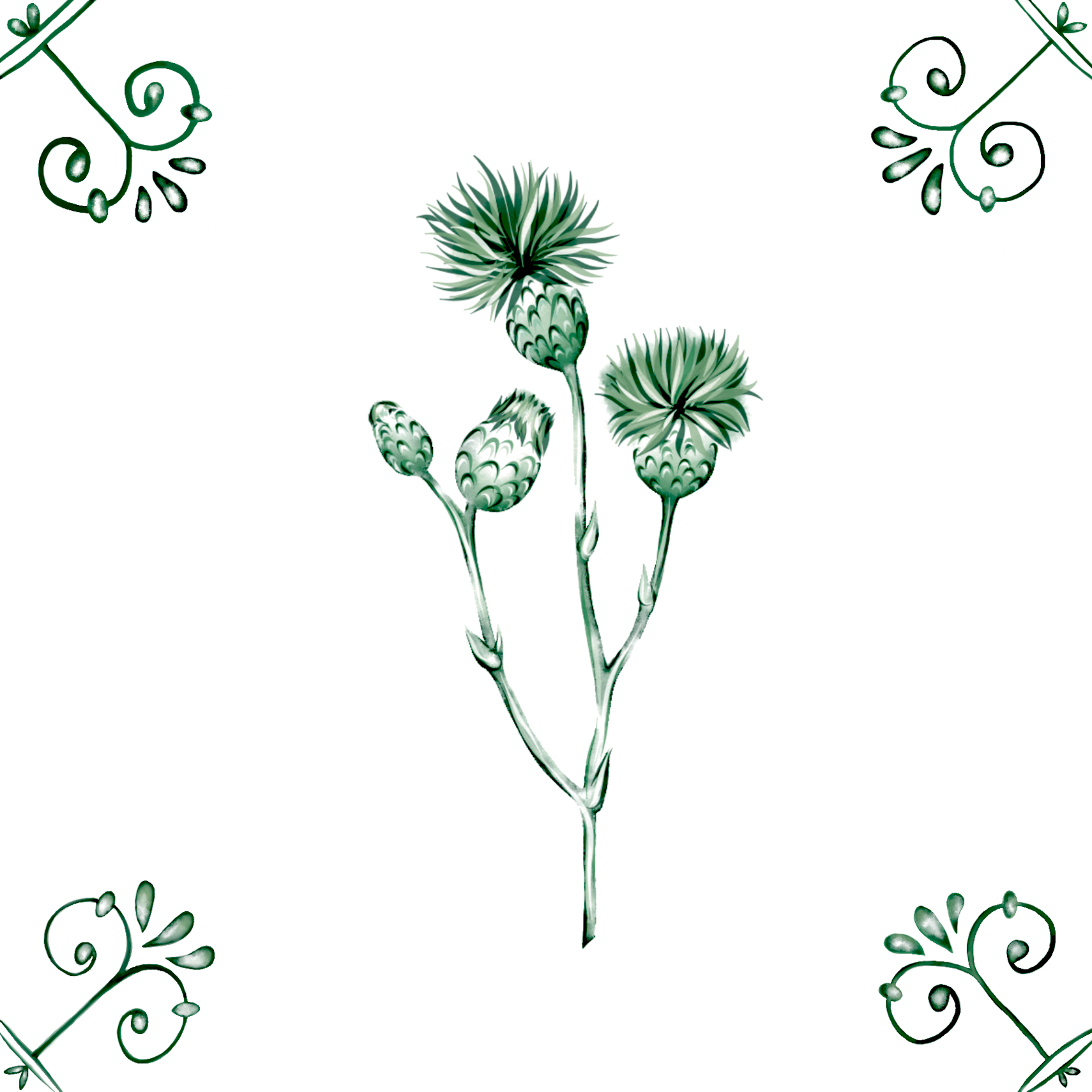 Delft Blue Ceramic Tile- Thistle︱Bathroom Tile, Splashback, Kitchen Tiles, Modern Dutch Style