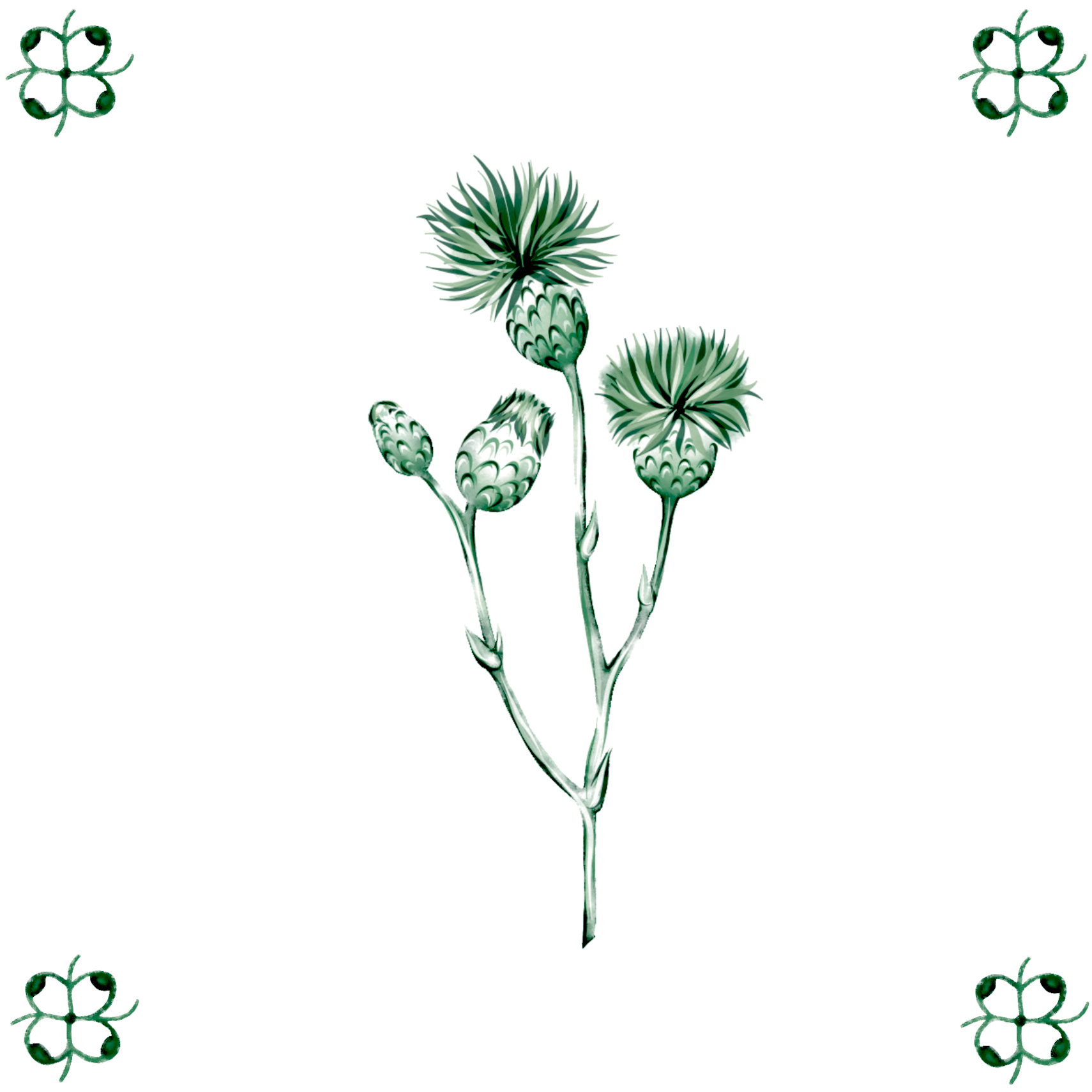 Delft Blue Ceramic Tile- Thistle︱Bathroom Tile, Splashback, Kitchen Tiles, Modern Dutch Style