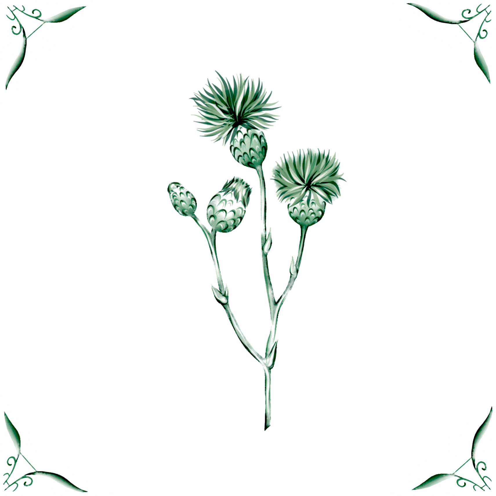 Delft Blue Ceramic Tile- Thistle︱Bathroom Tile, Splashback, Kitchen Tiles, Modern Dutch Style
