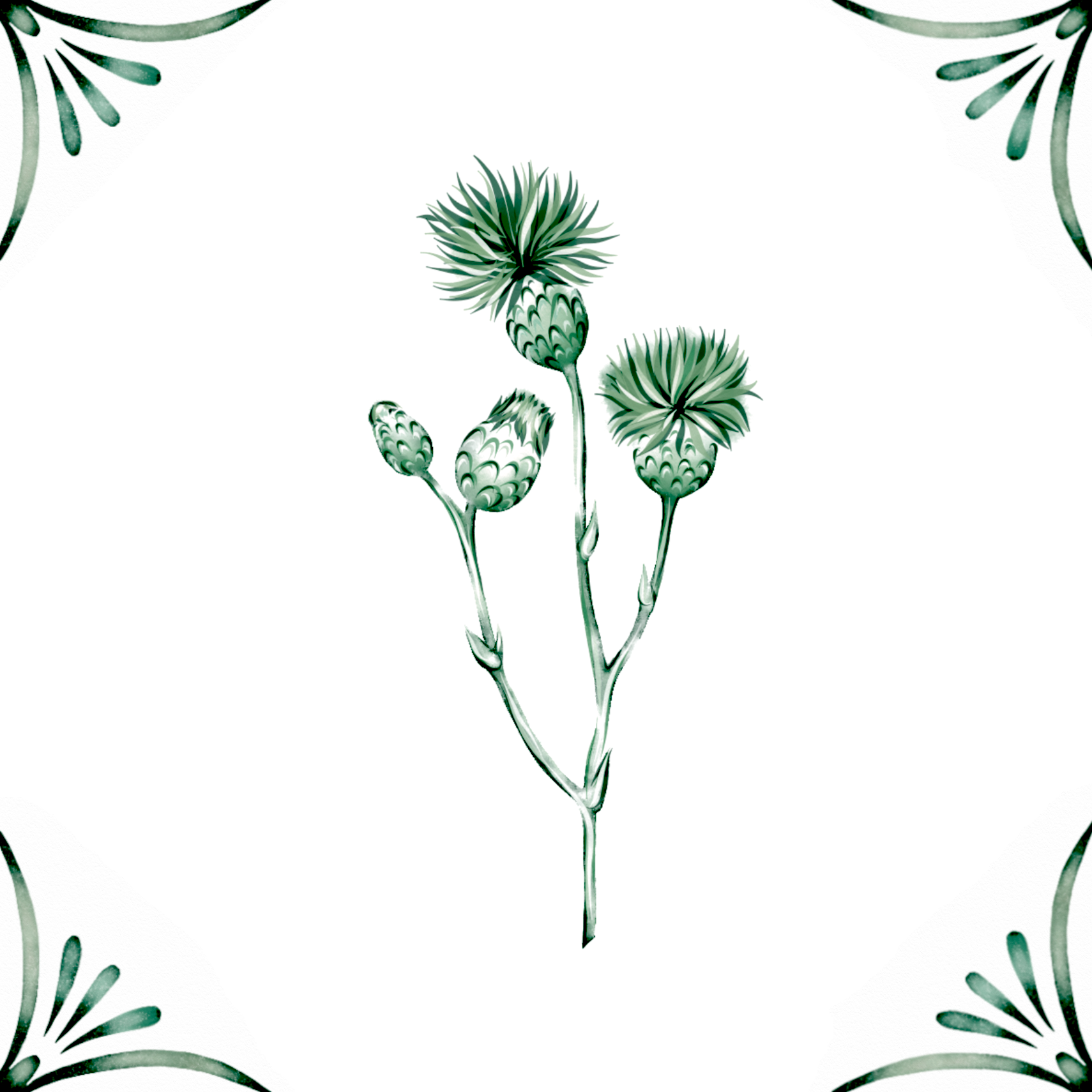 Delft Blue Ceramic Tile- Thistle︱Bathroom Tile, Splashback, Kitchen Tiles, Modern Dutch Style